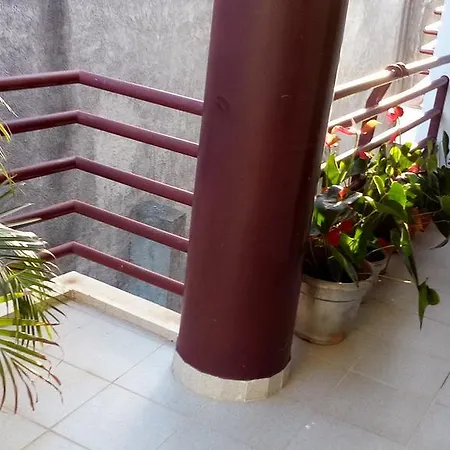 Apartamento Dinis 丰沙尔